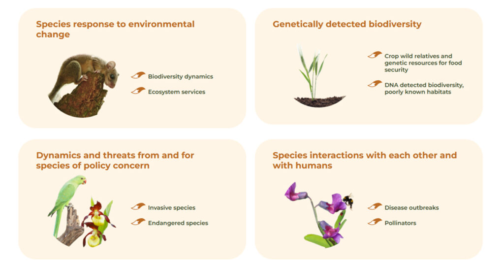 BioDT project's four use case groups