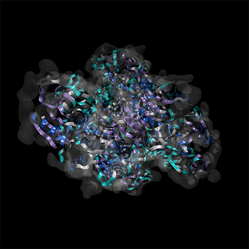 Visualisation of a protein studied using the LUMI supercomputer.