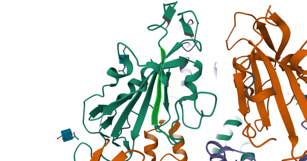 Location of the recently detected COVID-19 mutations affect the spike protein region around residue number 455.